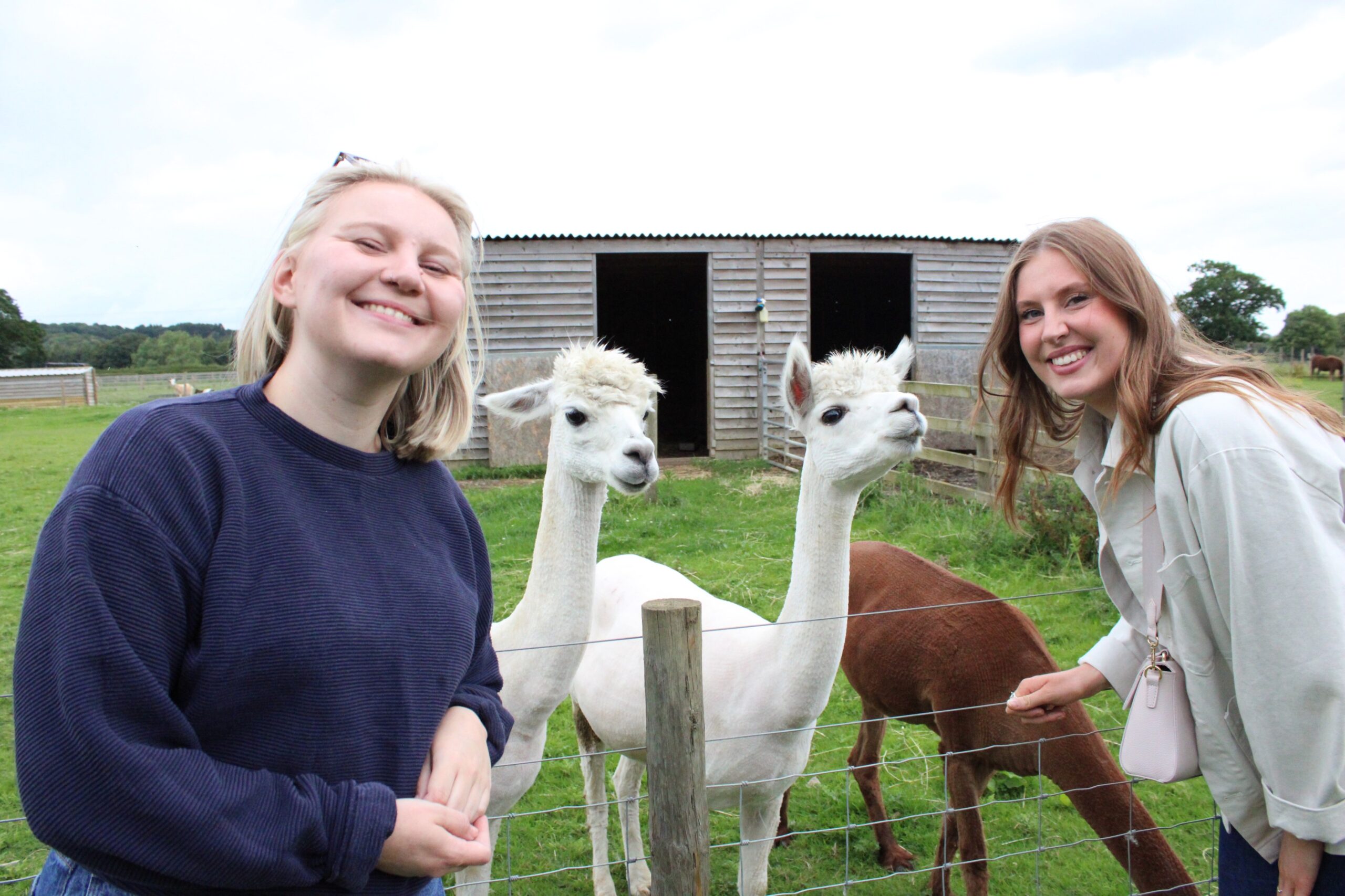 Bluebell Dairy Launches ‘Big Kids’ Corporate Away Day Packages ...