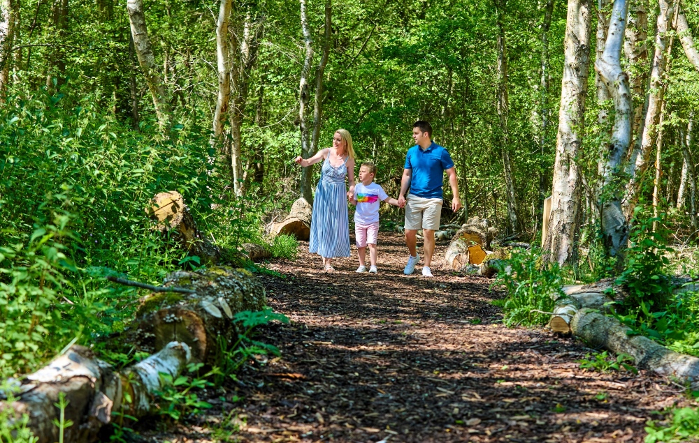 Luxury lodge retreat unveils ancient woodland attraction following