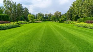 Spotting and Solving Stripe Problems: When Lines Look Dull